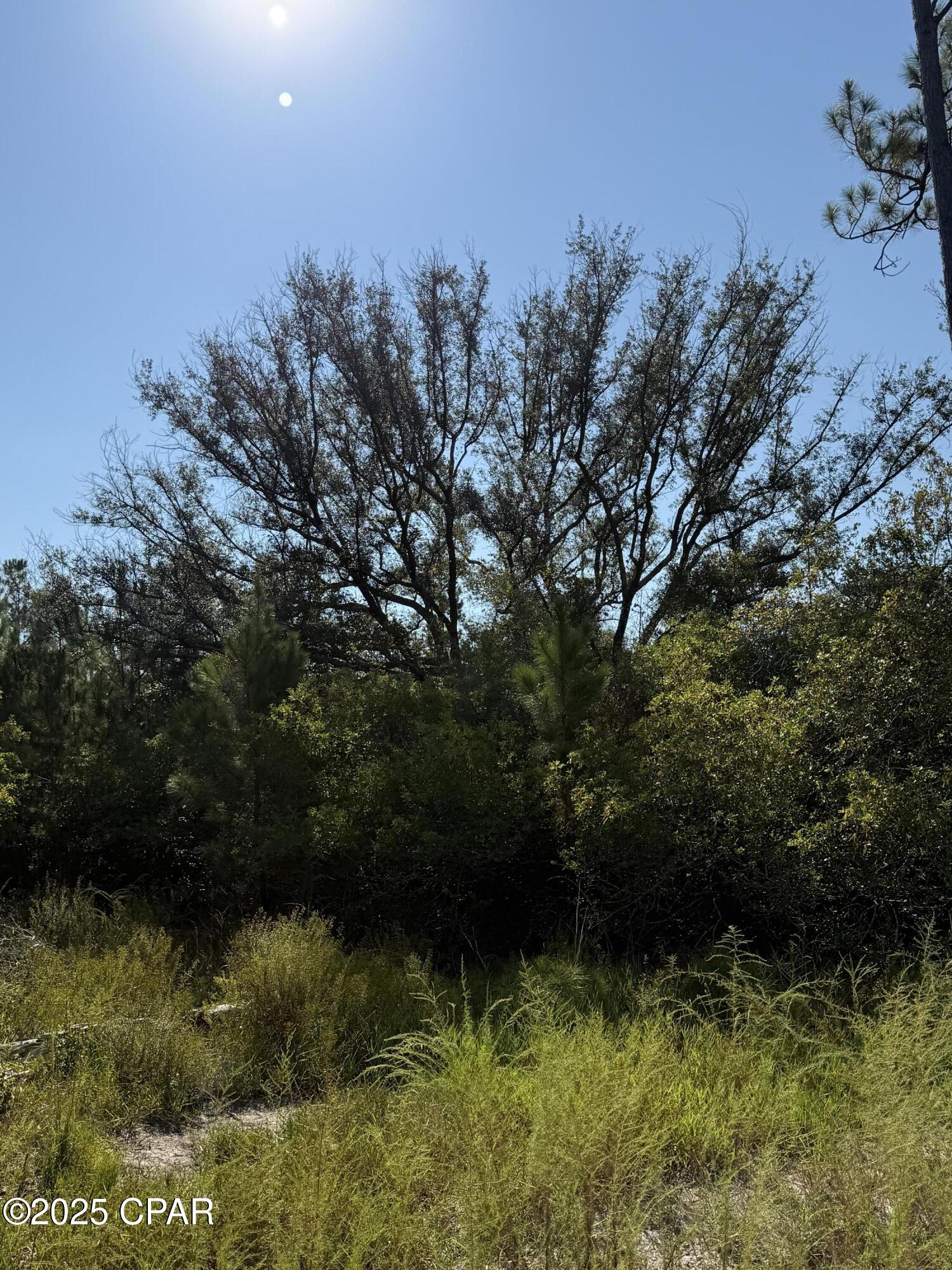 Xrxmkpzt5jyqb04 Ewr1bmlahk8zetkexslgd K0smu