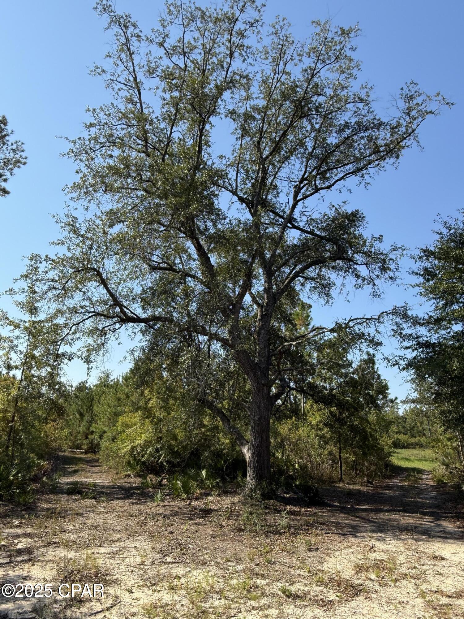 Dxmhtmg8ustf3wppt8pe5utp9ypd0l2p_8uv3bfmq88