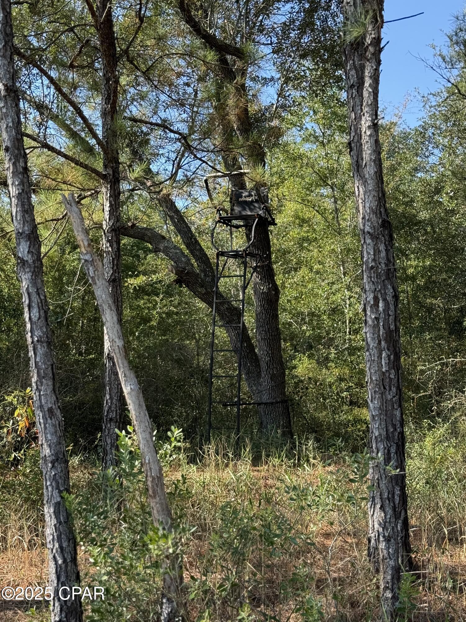 2psriqtj7gmzlkiscd_zb6qcttrhclkqoizihyxtfbe