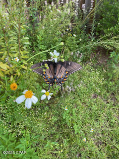 Yscyppnabkav3wxswadv 9gd54ngvs7pkrf9wy_ihdo