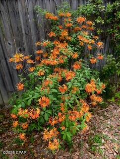 Hqgmrpgd7hiiohndsysuwfteimxqaazfnnjprjtes1s