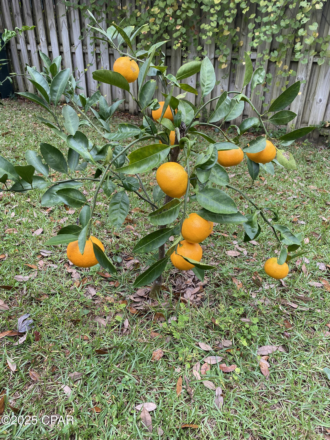 O6uaxrljv4lgmrtn5excrqikjulskhwuqzsrrorwm8q