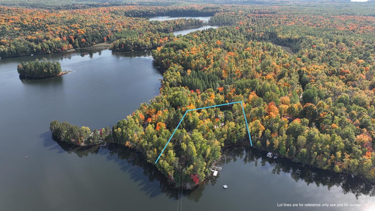 Van Vliet Lake Property 12022 Rottman Dr Photo 1