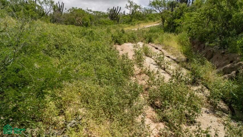 Mangle Lot E 24, Vista Hermosa, Los Cabos, Baja California Sur, 23473