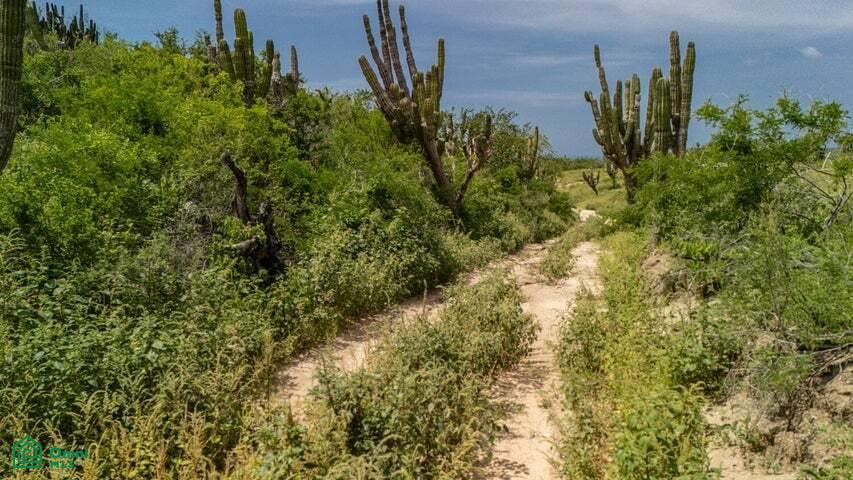 Mangle Lot E 24, Vista Hermosa, Los Cabos, Baja California Sur, 23473