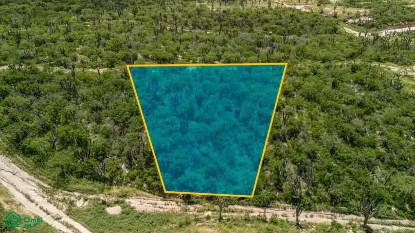 Mangle Lot E 24, Vista Hermosa, Los Cabos, Baja California Sur, 23473