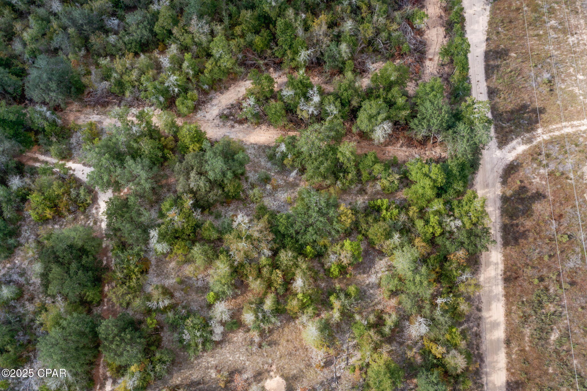 Vvzuaaklhy5nbohf76op6jwe5coos_a75x57esau9w0