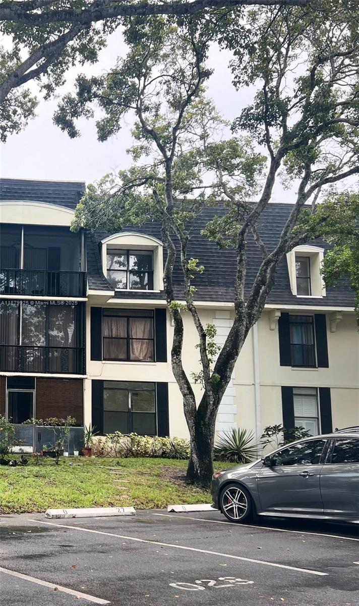 International Village At