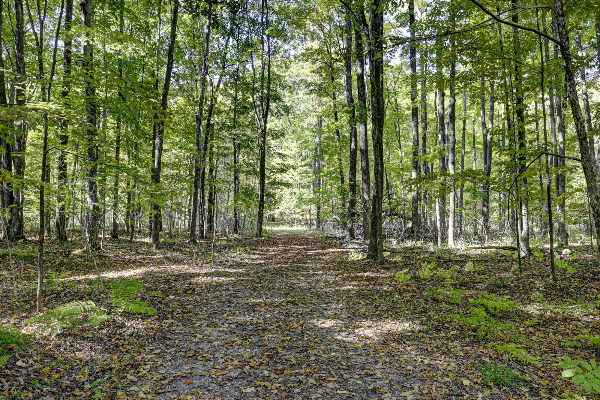 Little Long Lake Property 6883 Little Long Lake Ln Photo 52