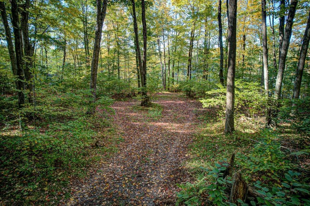 Little Long Lake Property 6883 Little Long Lake Ln Photo 53