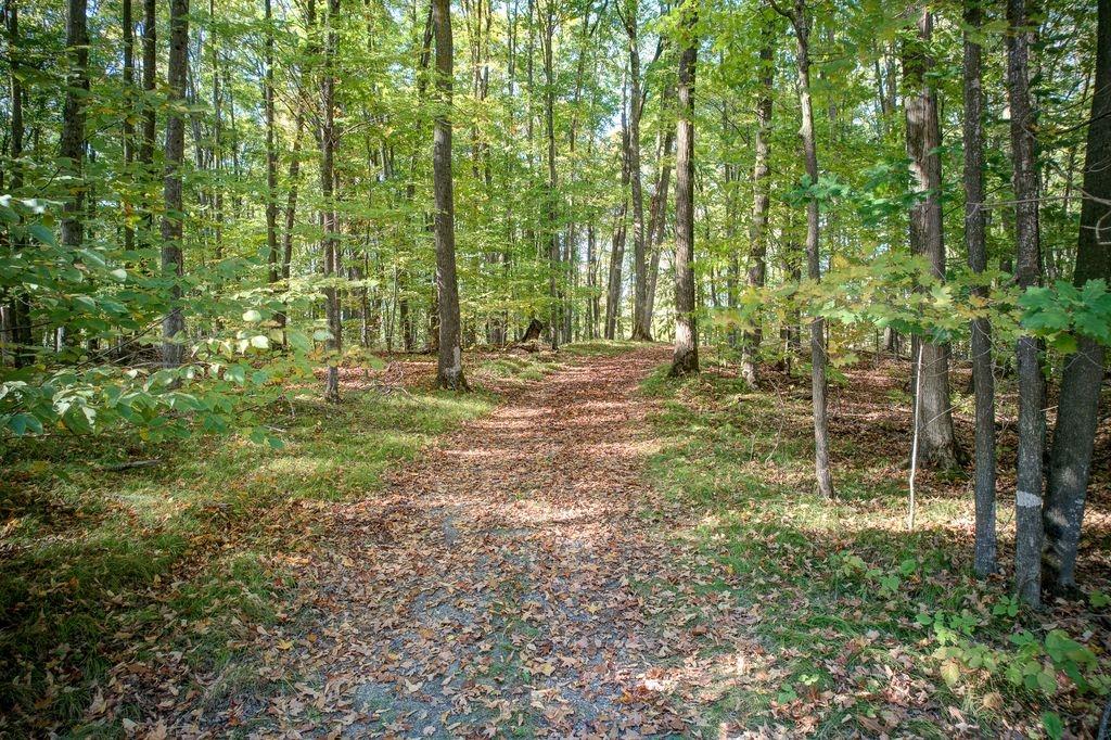 Little Long Lake Property 6883 Little Long Lake Ln Photo 54