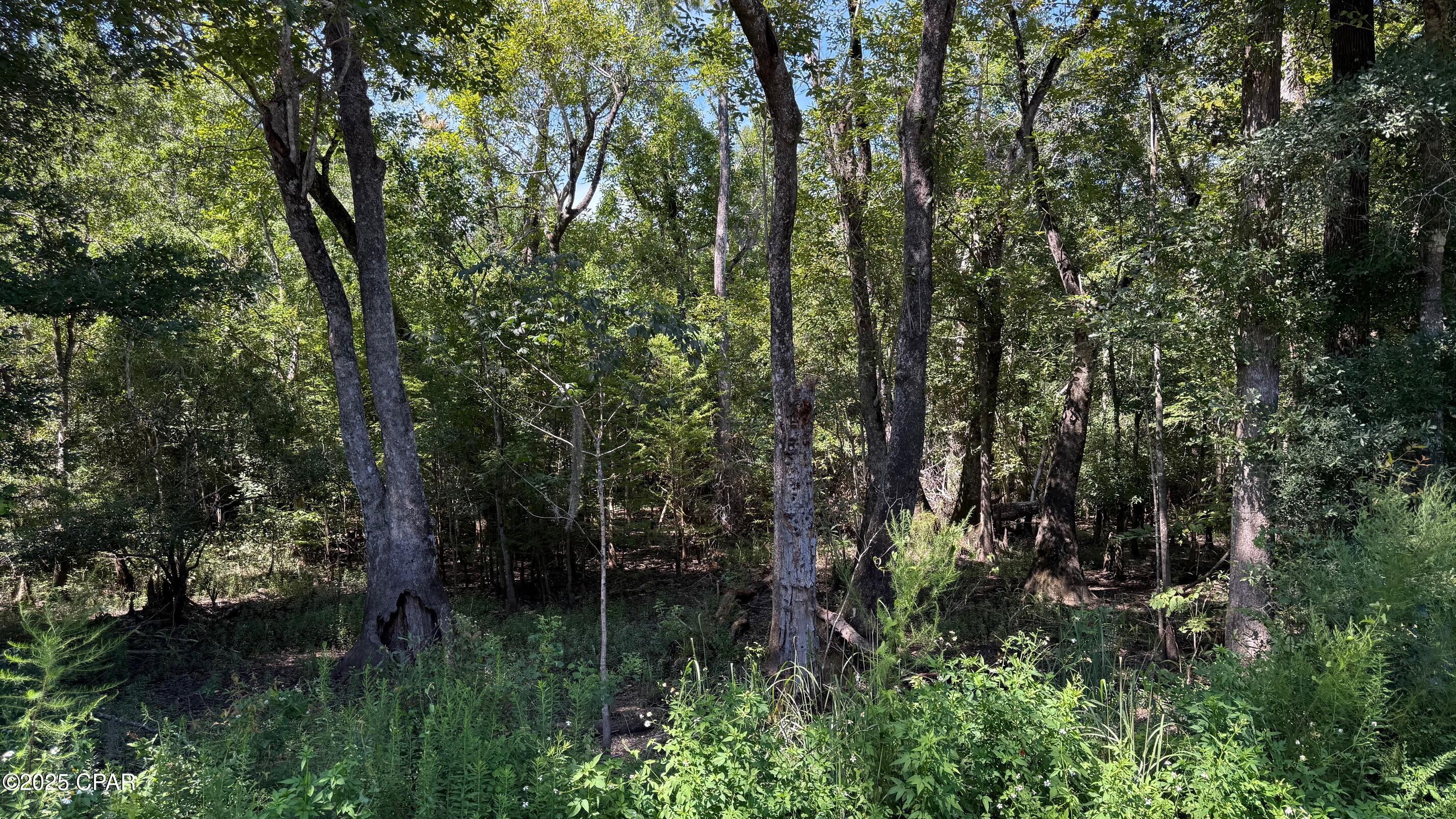 A2g85de9nnfpjiz9cqgqvgg5a5zmu5clcofea7t_8os