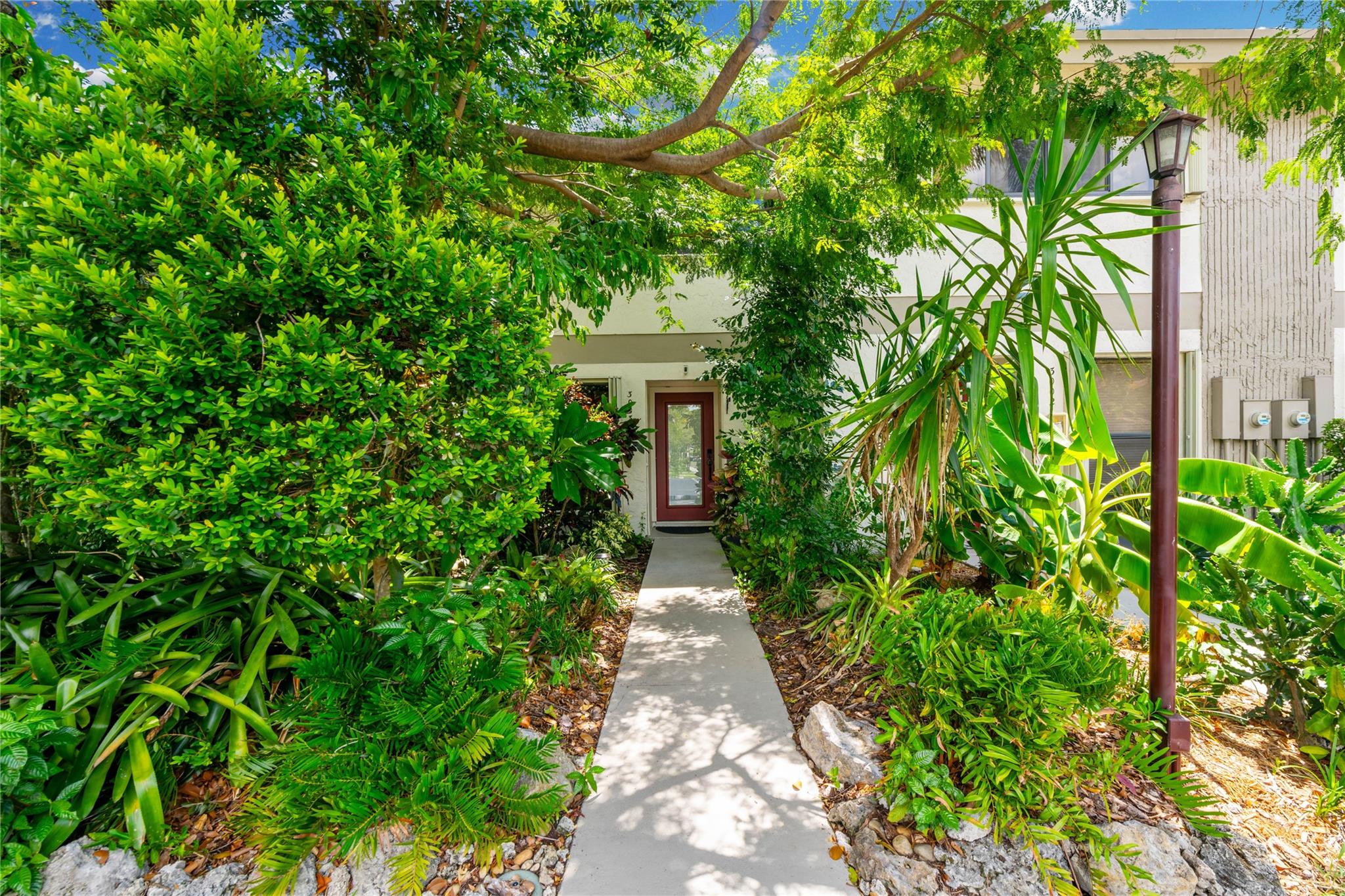 The Pines Of Oakland Fore