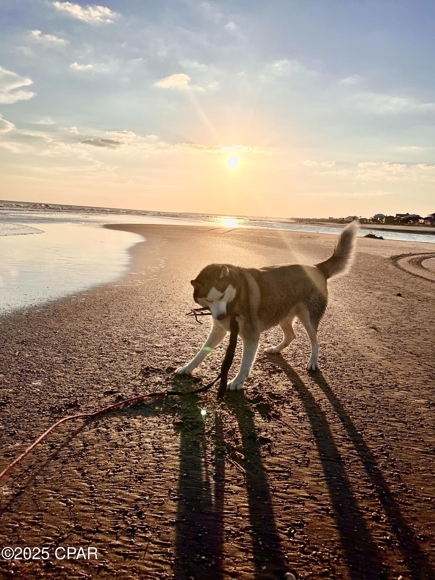  Cktidazf8nnzczxgjzwjsi_p8kcw9u5o2jyd3vfpmk