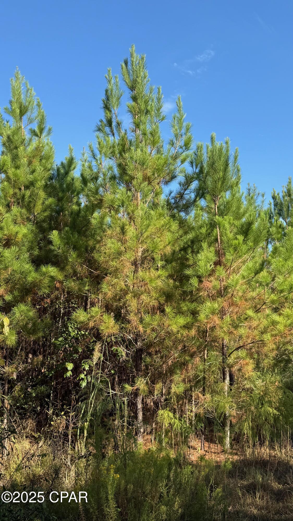 2dobxkcjsuf1tfhnr Hoyntphfnmw7li27gofd8waya