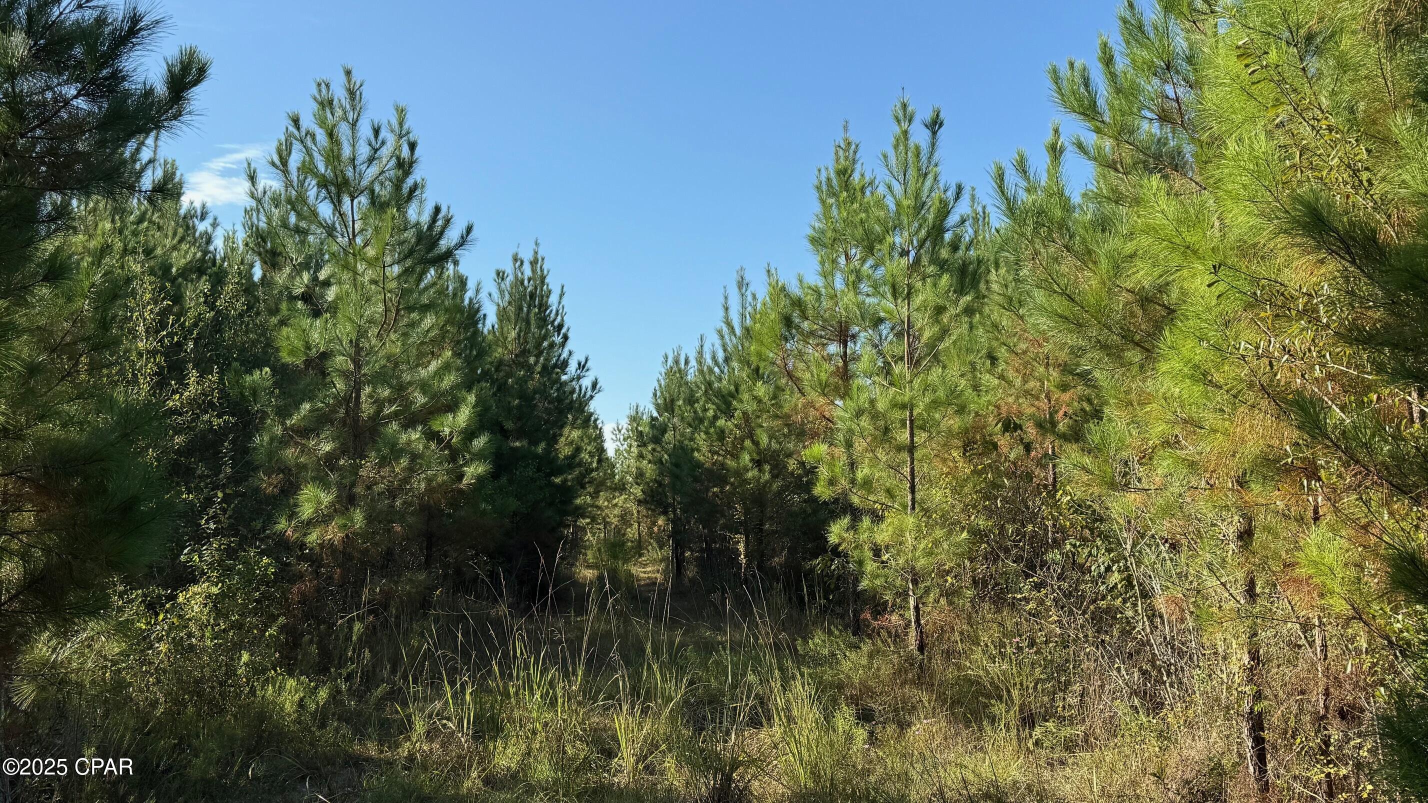 C7hgh1vj1nptp01p5dzdvmk6yg8nmpd2ihsk Nfdu74