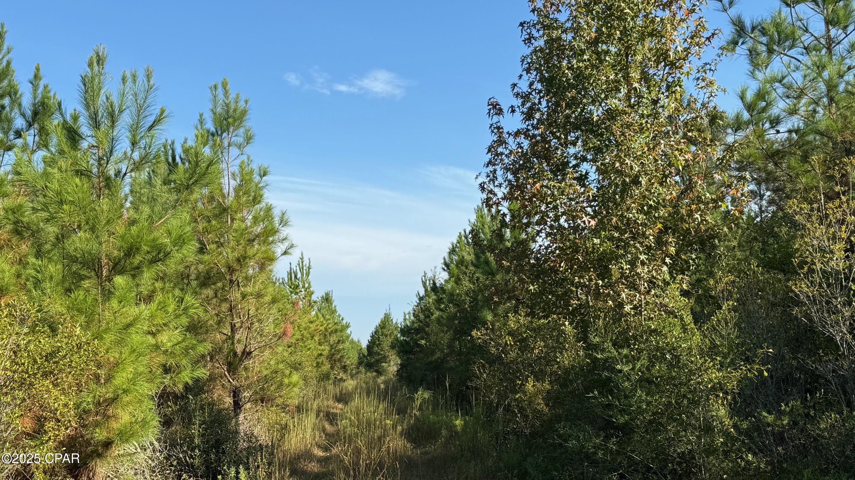 F8tyqbaziv3irbz0tsgwa8wpkrqb9to Elnuoy7hvhk