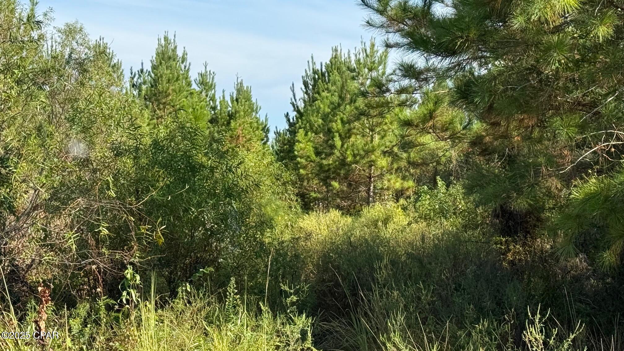 5pttzc0bkkas1wsdgapfecab Zk1r0lv2f5tqt31a4u