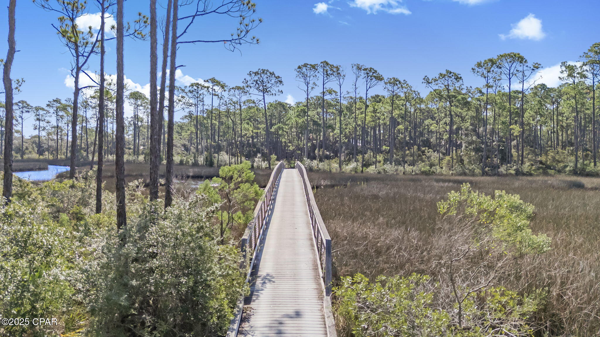 Zomai_889gvqsknuwzrsu9njcybwf0xrujuerl2bc1y