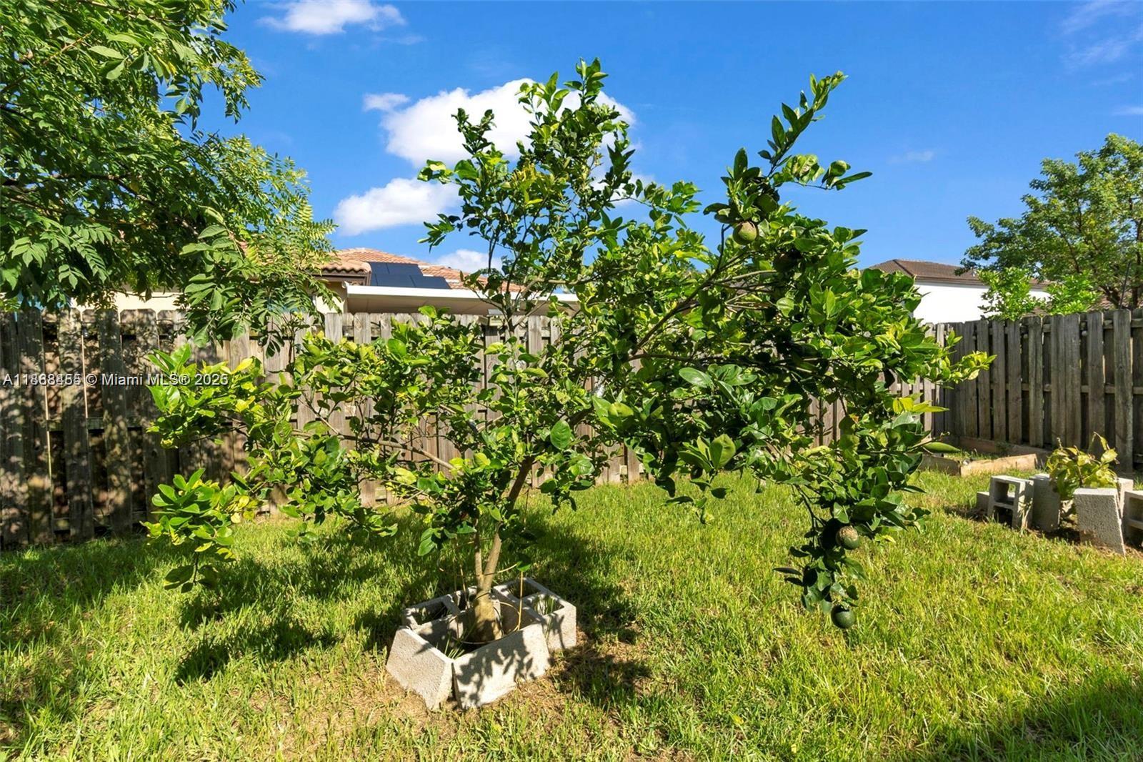 Property photo # 6