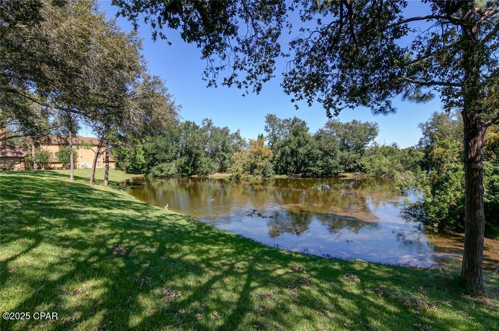 Image 10 For 300 Lakepointe Drive 202