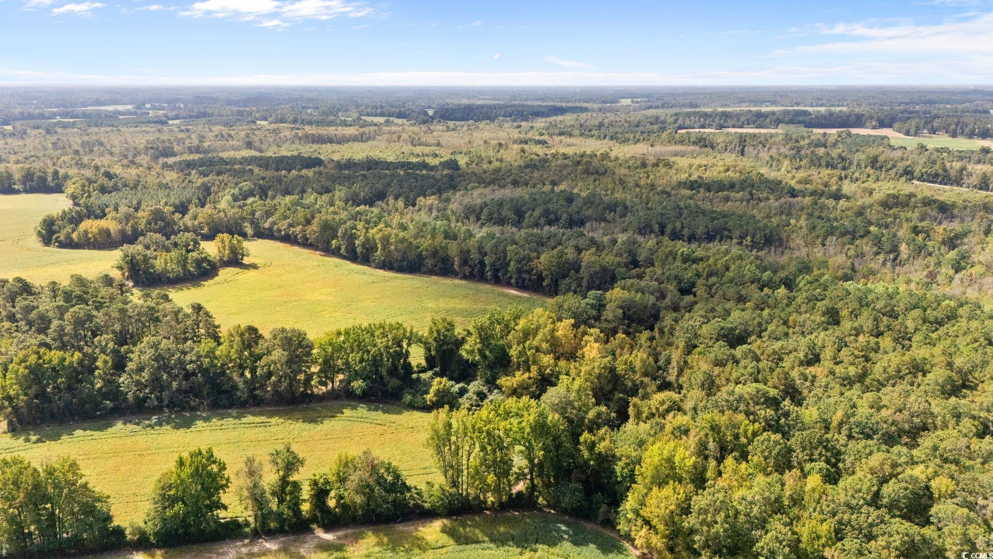 000 Schofield Pl. Fork, SC 29543