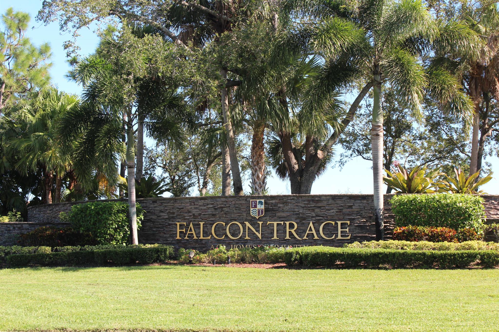 Falcon Trace Plat One