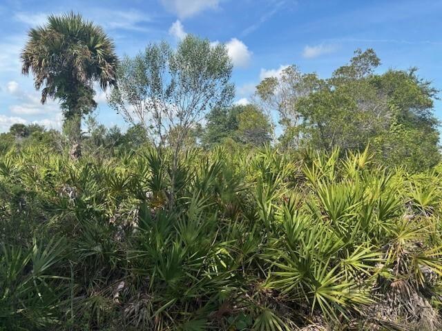 Vk29 The Viking Estates