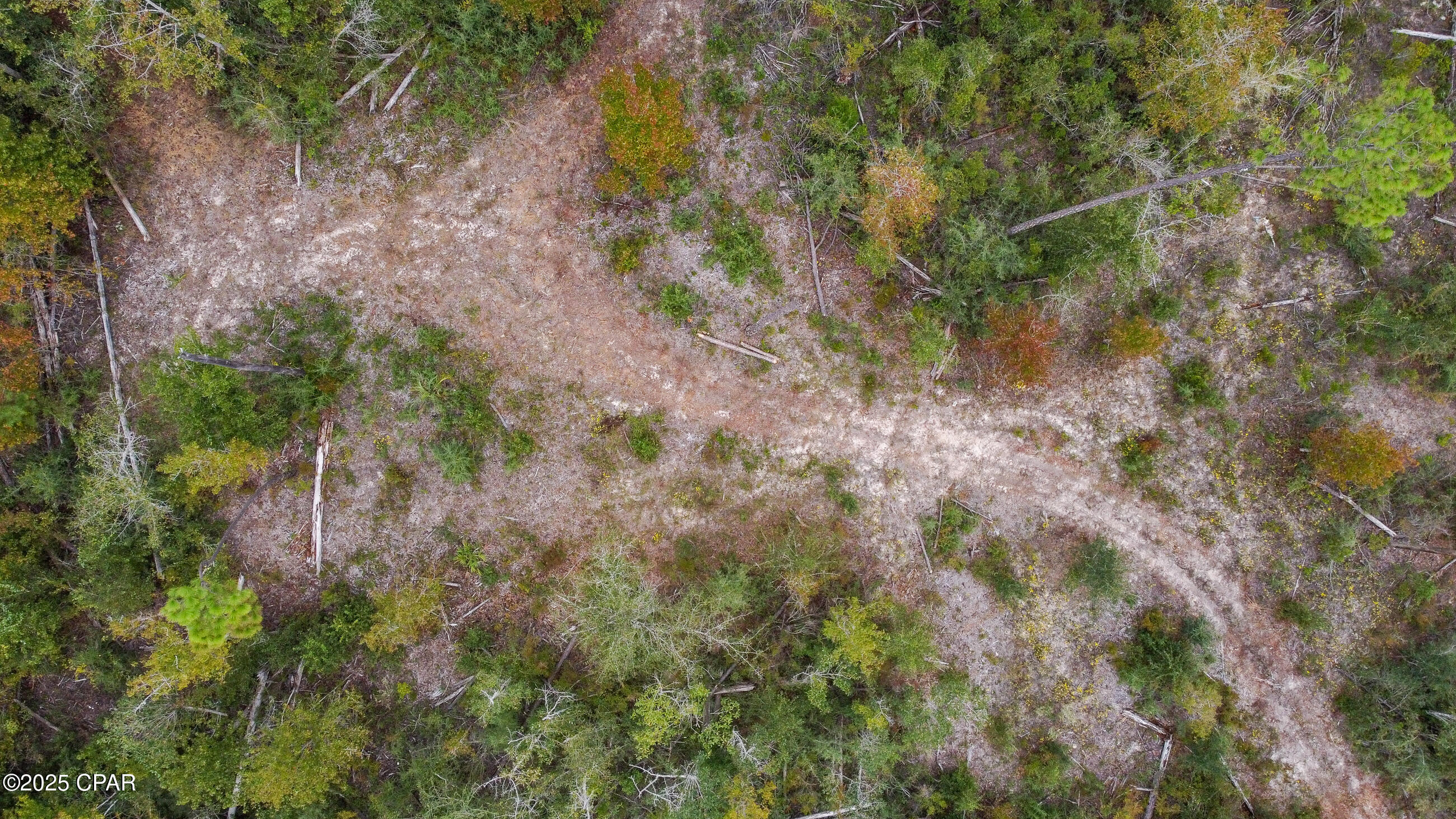 Image 6 For 7939 John Pitts Rd Road