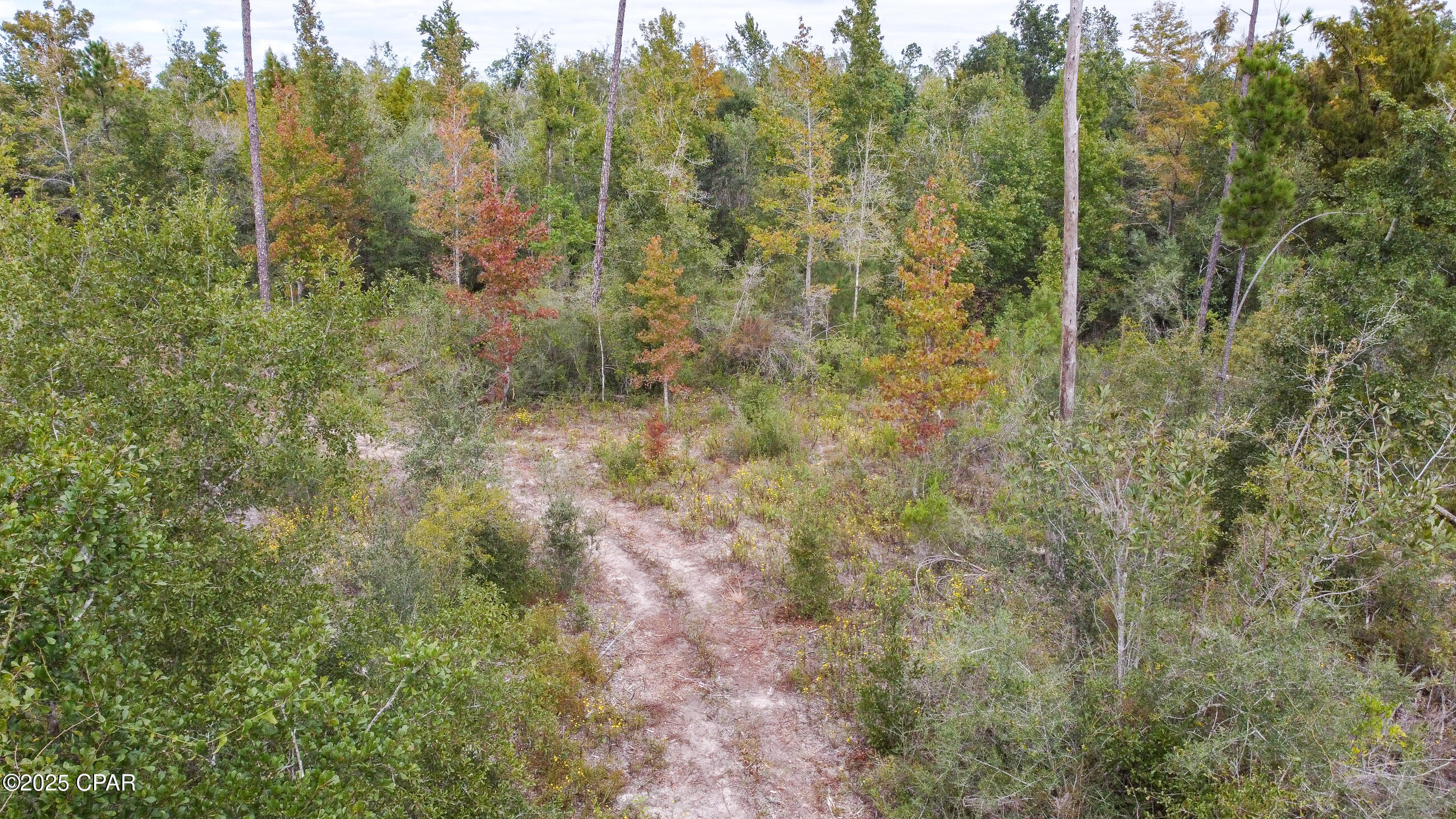 Image 8 For 7939 John Pitts Rd Road