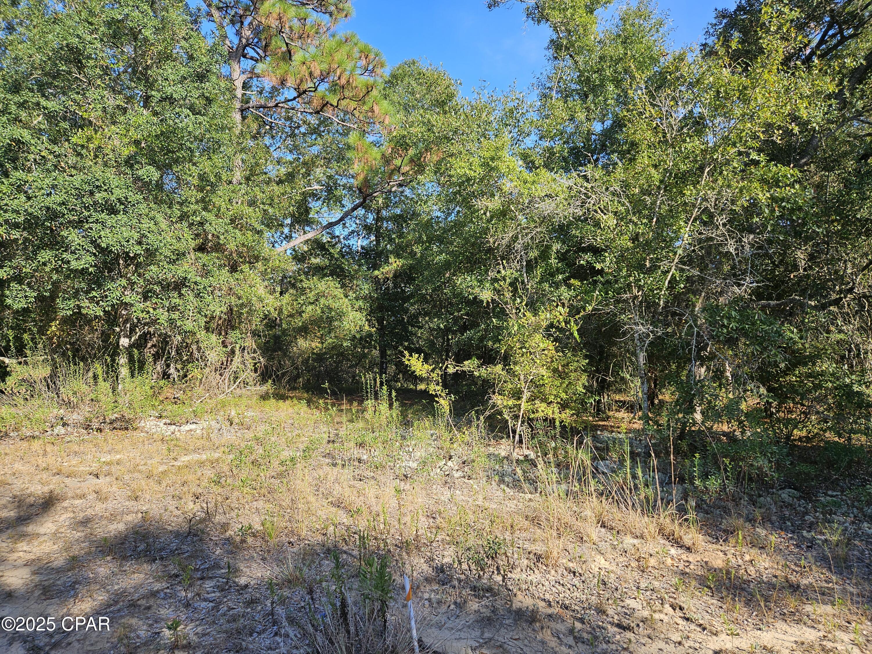 Image 4 For B-126 Quail Ridge Drive