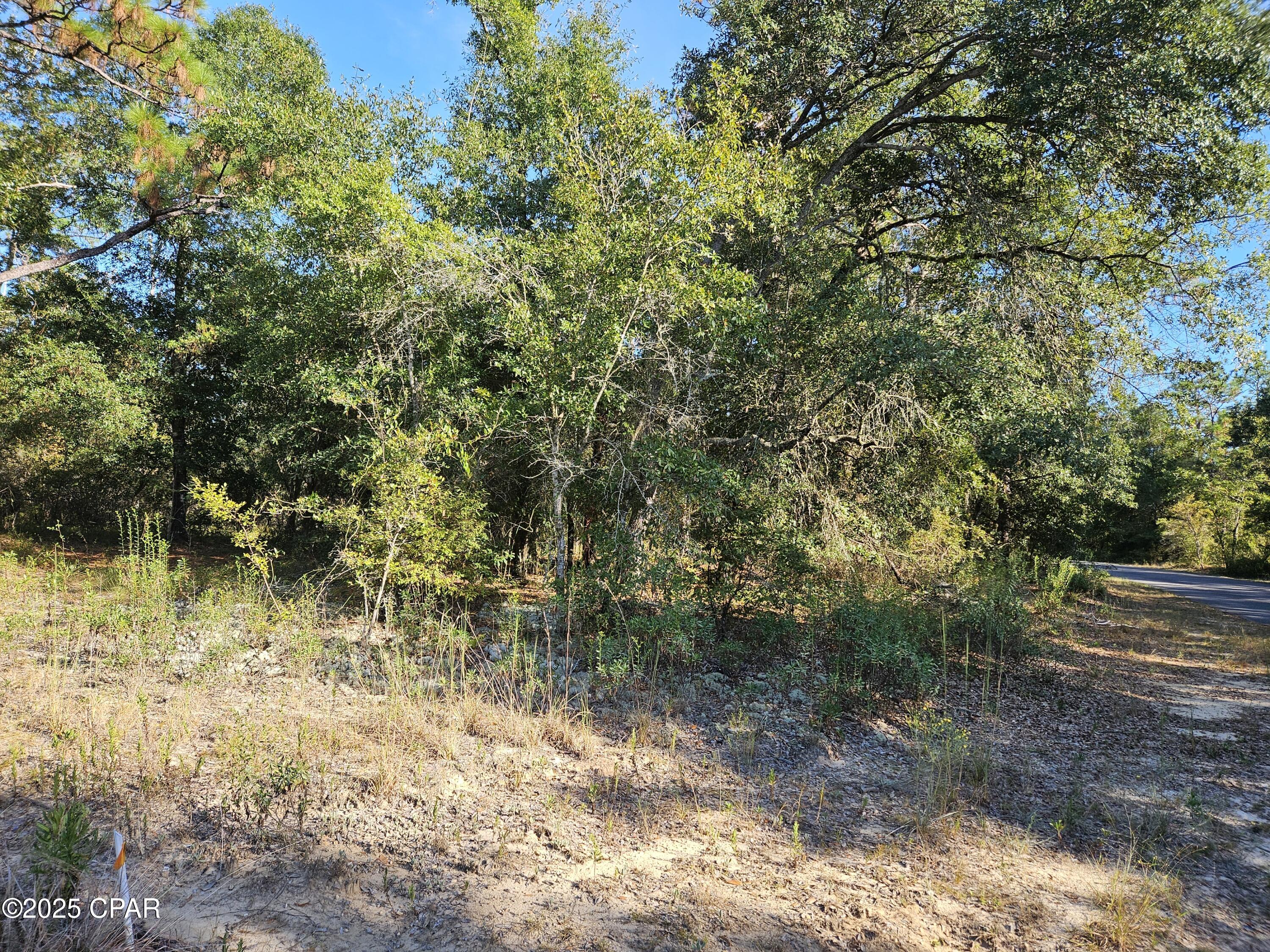 Image 5 For B-216 Quail Ridge Drive