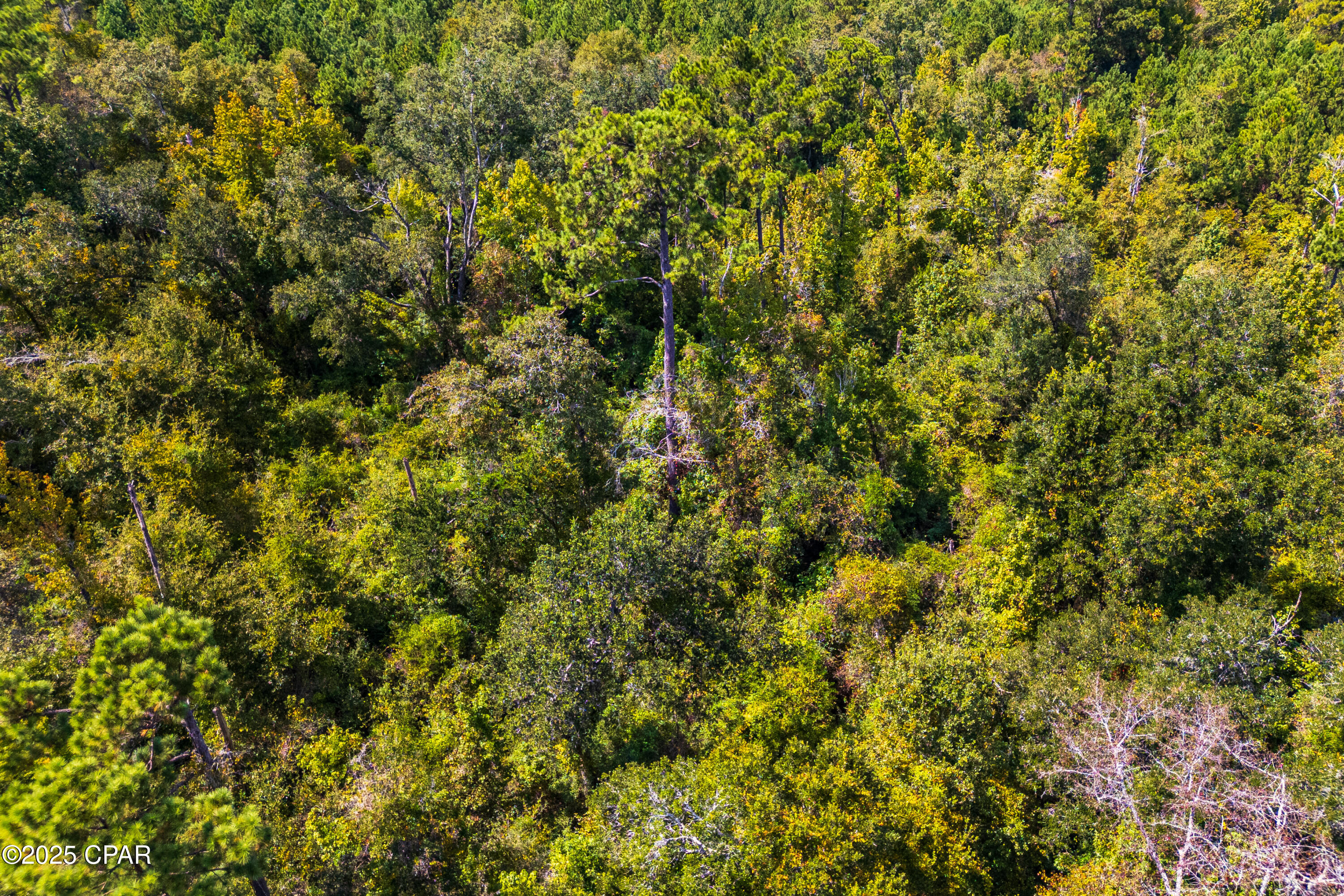 H2cwqnrwp9jrmljudyuz1ztllaypaf45tnczsx41su0