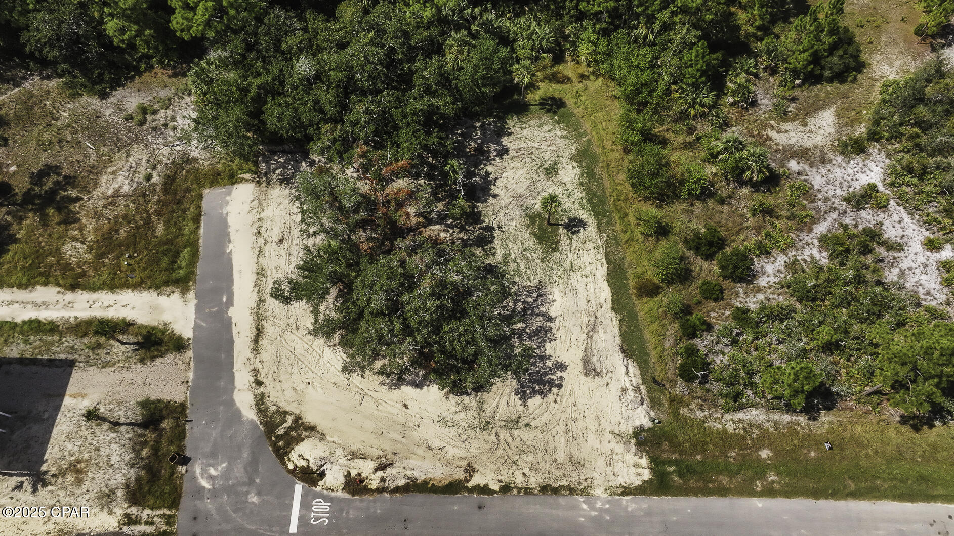 Immdsvdhd1rrphlhbte2tm_9ttaevd1causfwa Bbig