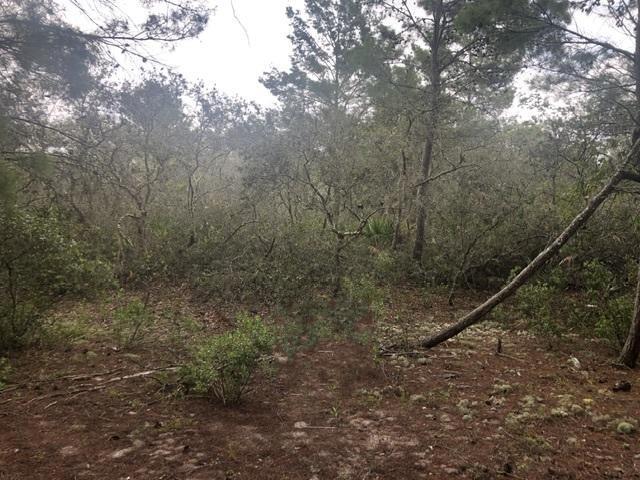 Cle43 Central Lake Estates