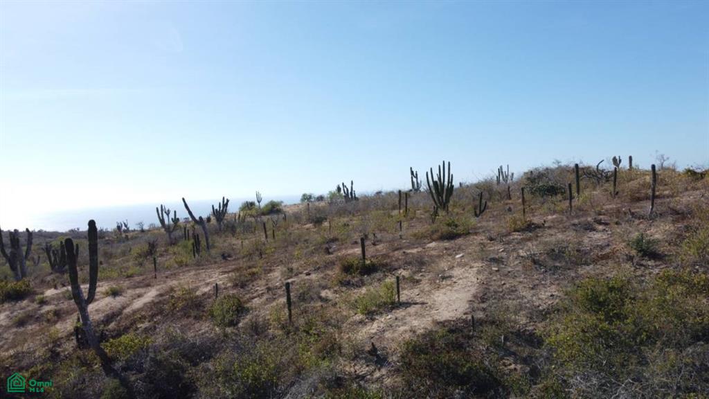 Rolling Hills Lot 3,4,8,9 Block 15, Cabo San Lucas Centro, Los Cabos, Baja California Sur