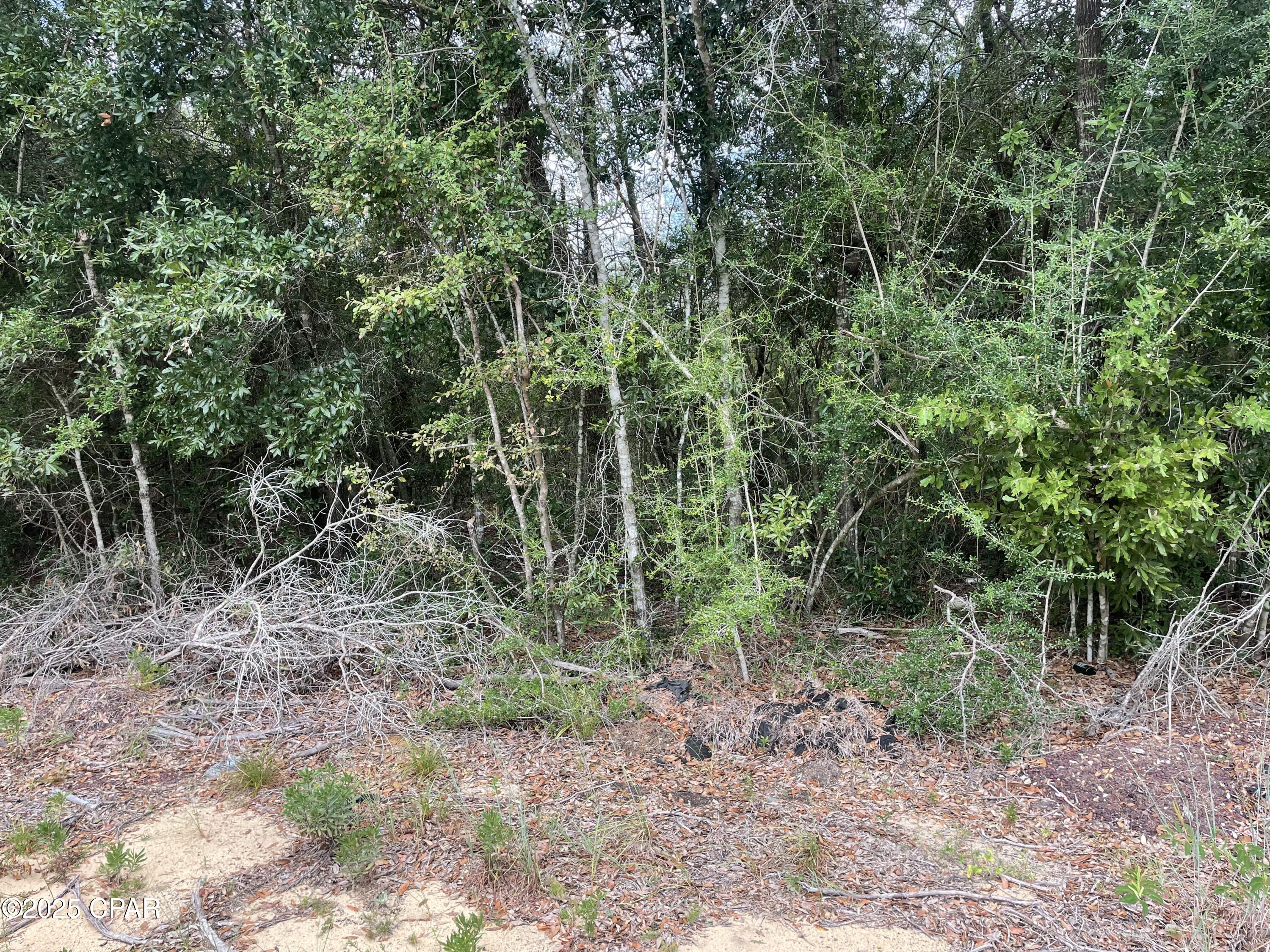 Details for Lot 23 Geraldine Circle, Chipley, FL 32428