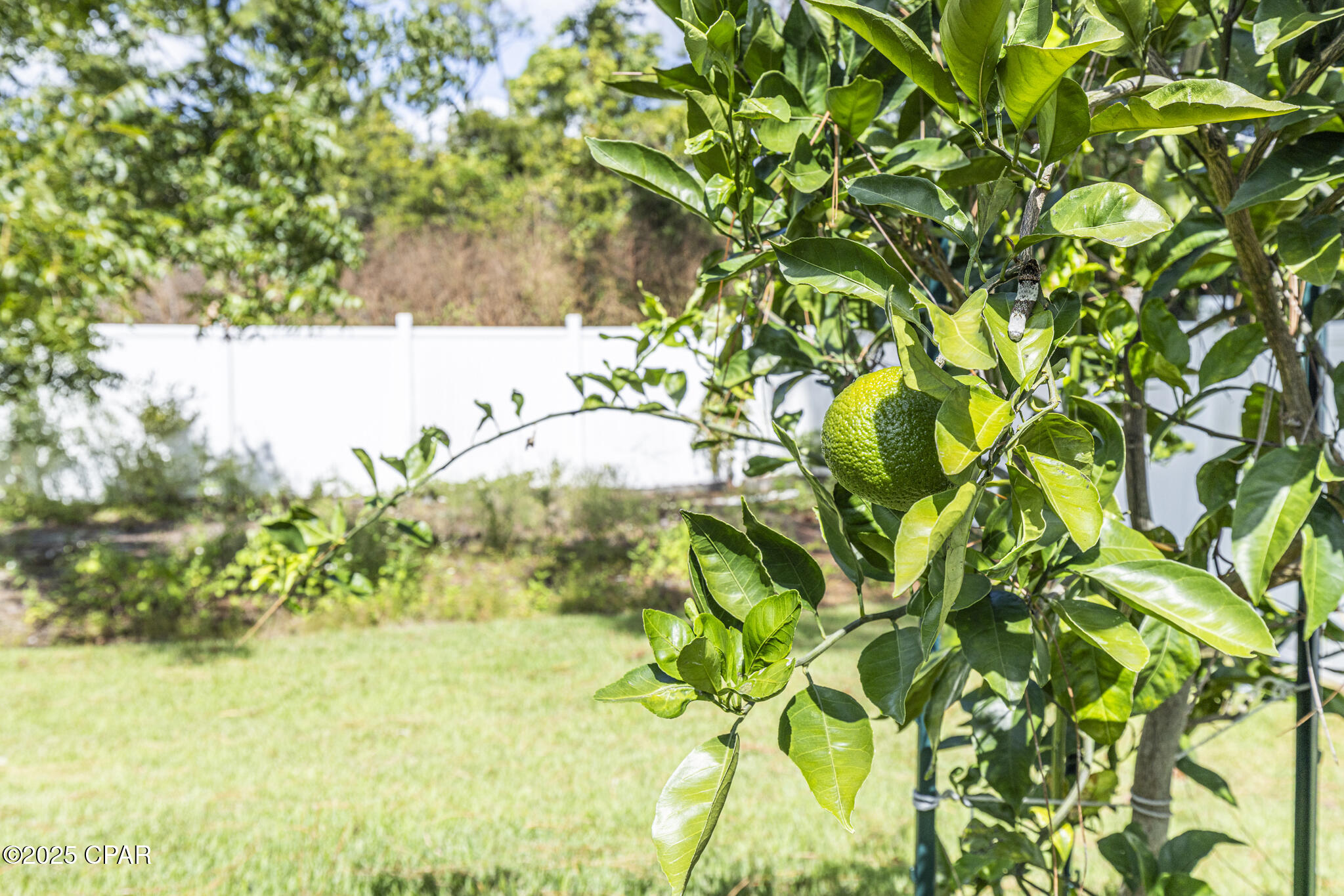 B898rvruocxzyfto Jrs3yuen6zjiyfsejf1hqe2yqa