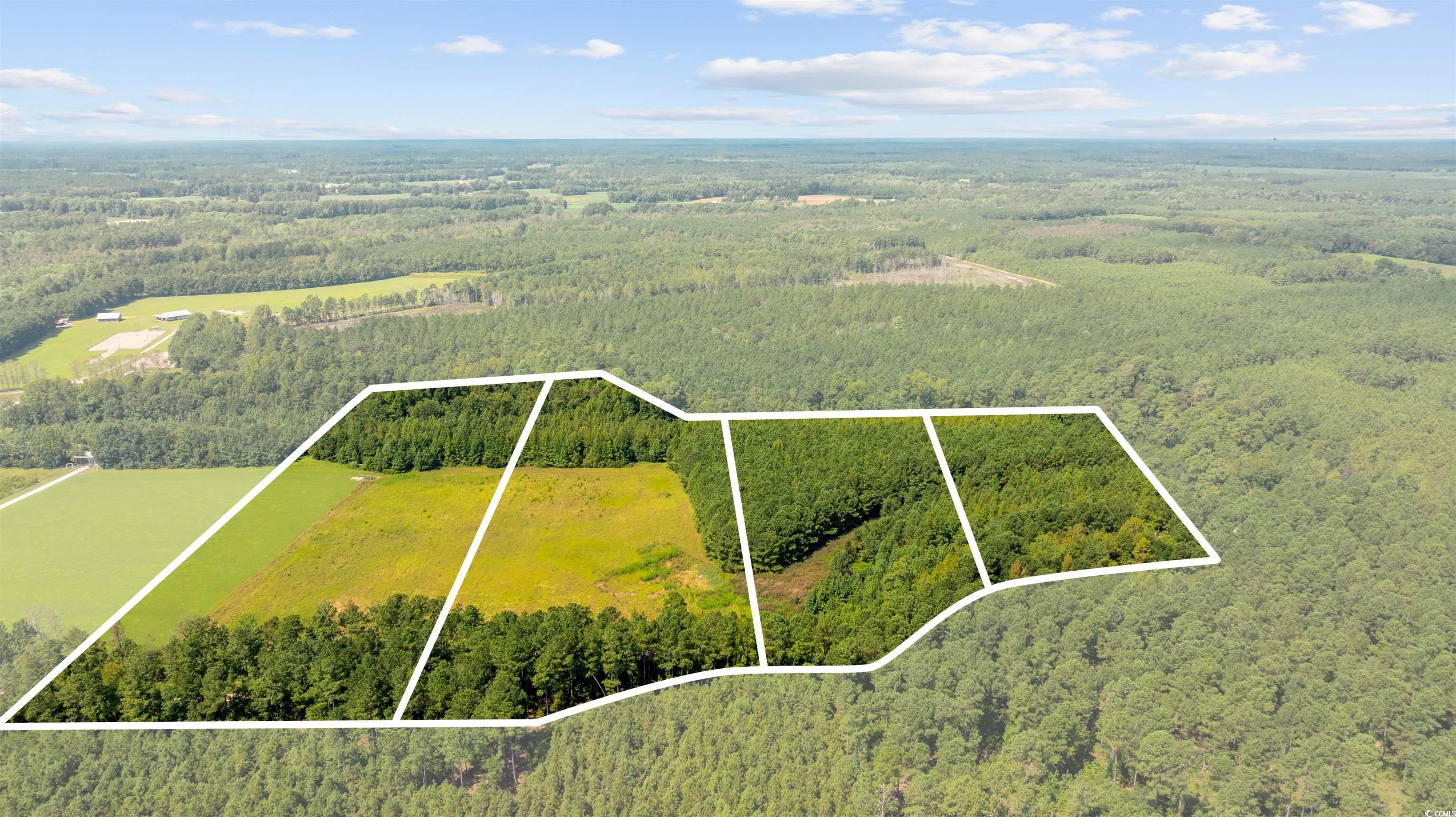 lot 2 Womack Rd. Nichols, SC 29581
