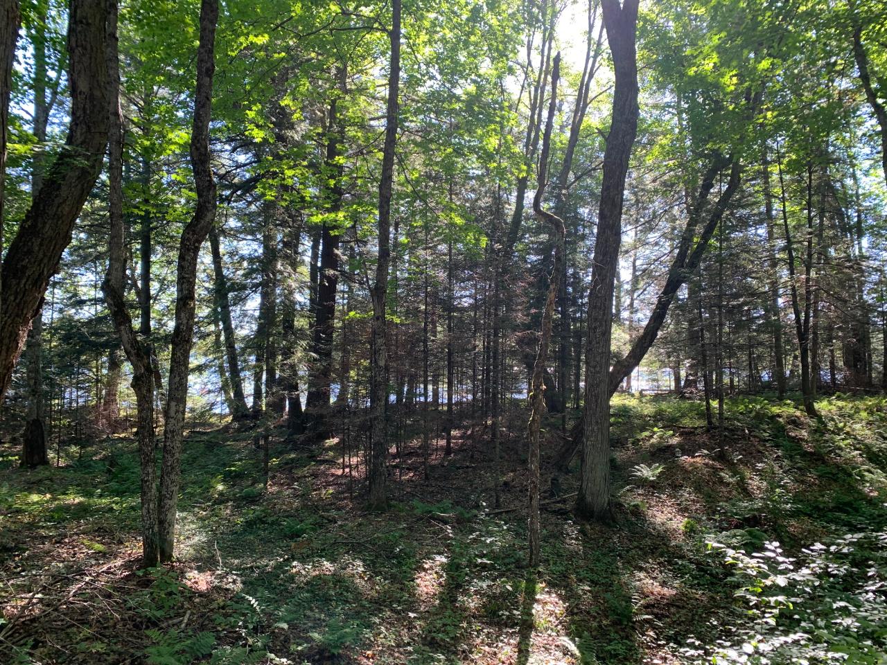 Landing Lake Property Off Of Knuth Ln Photo 15