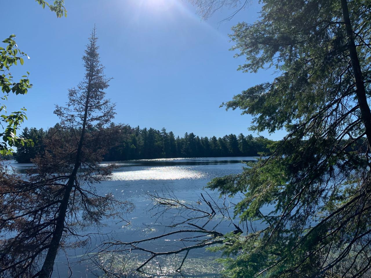 Landing Lake Property Off Of Knuth Ln Photo 18