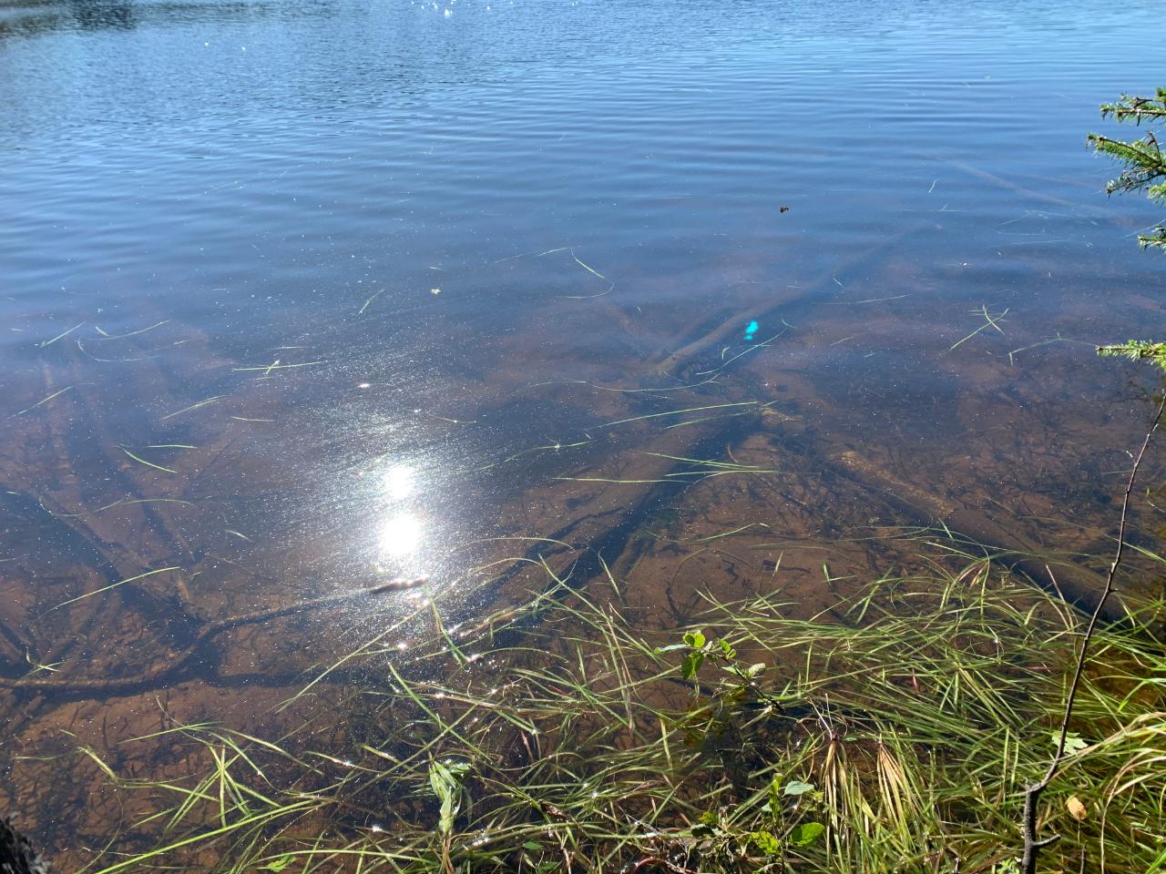 Landing Lake Property Off Of Knuth Ln Photo 19