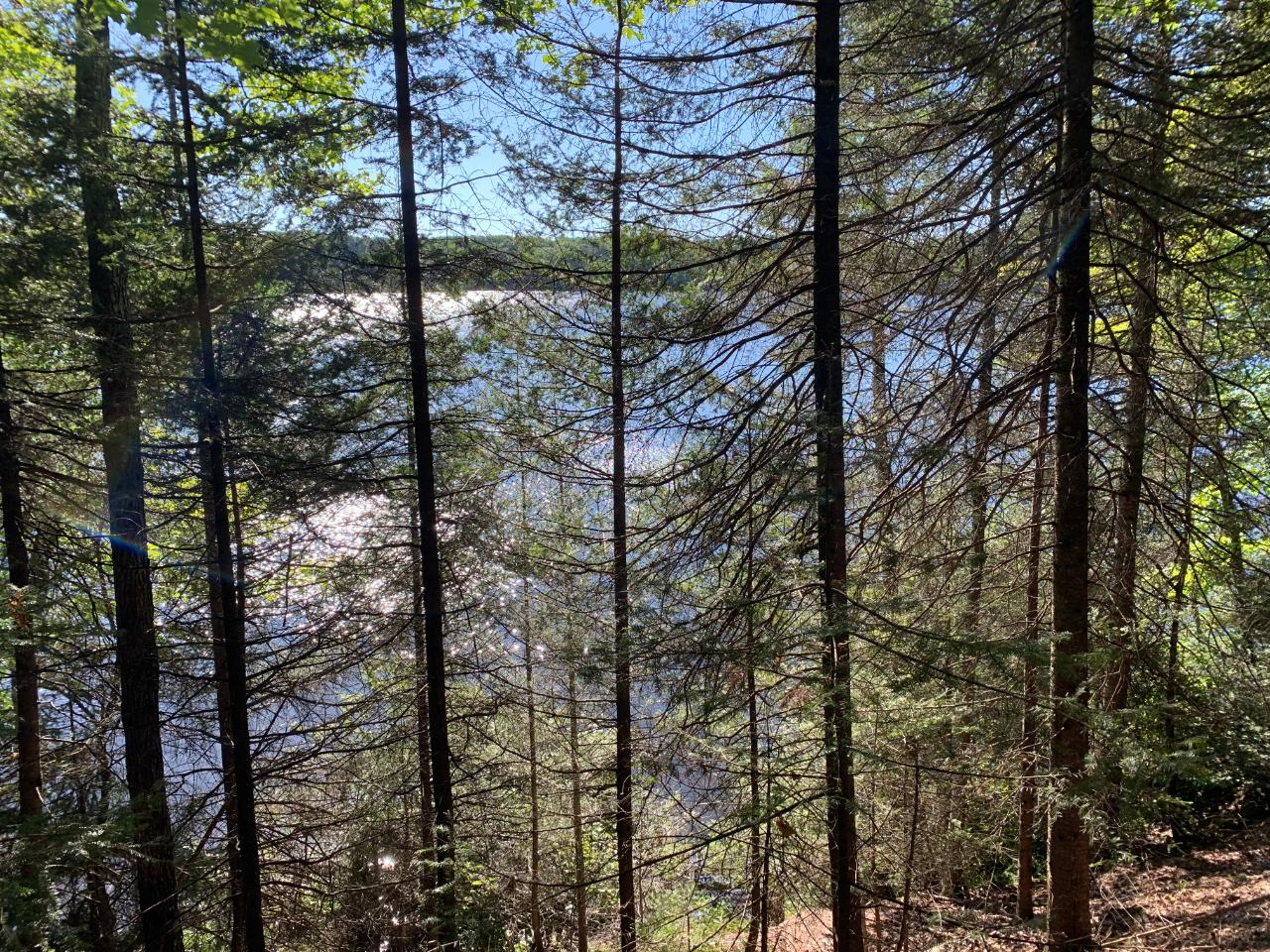 Landing Lake Property Off Of Knuth Ln Photo 21