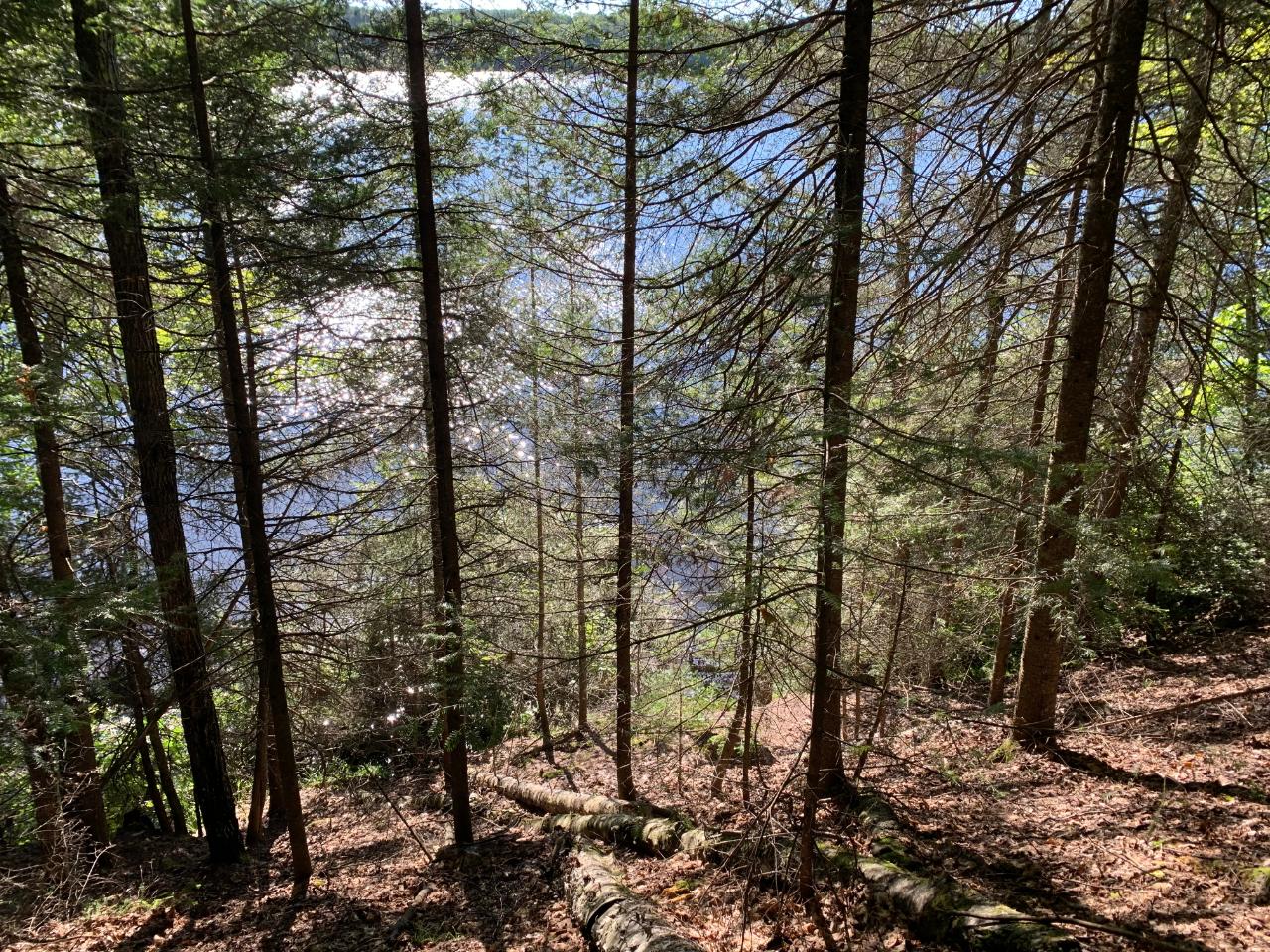 Landing Lake Property Off Of Knuth Ln Photo 22