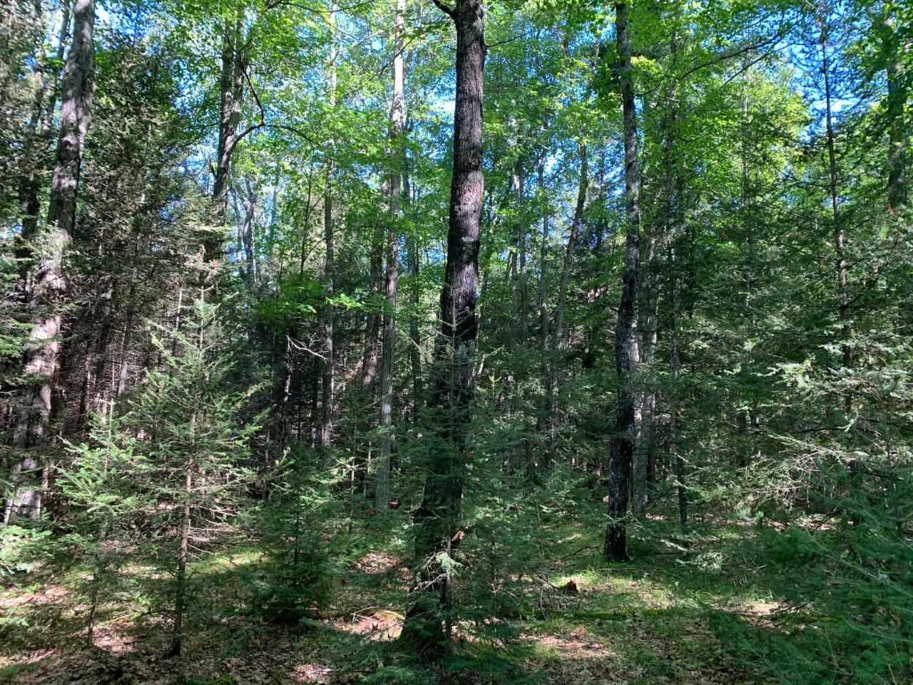 Landing Lake Property Off Of Knuth Ln Photo 23