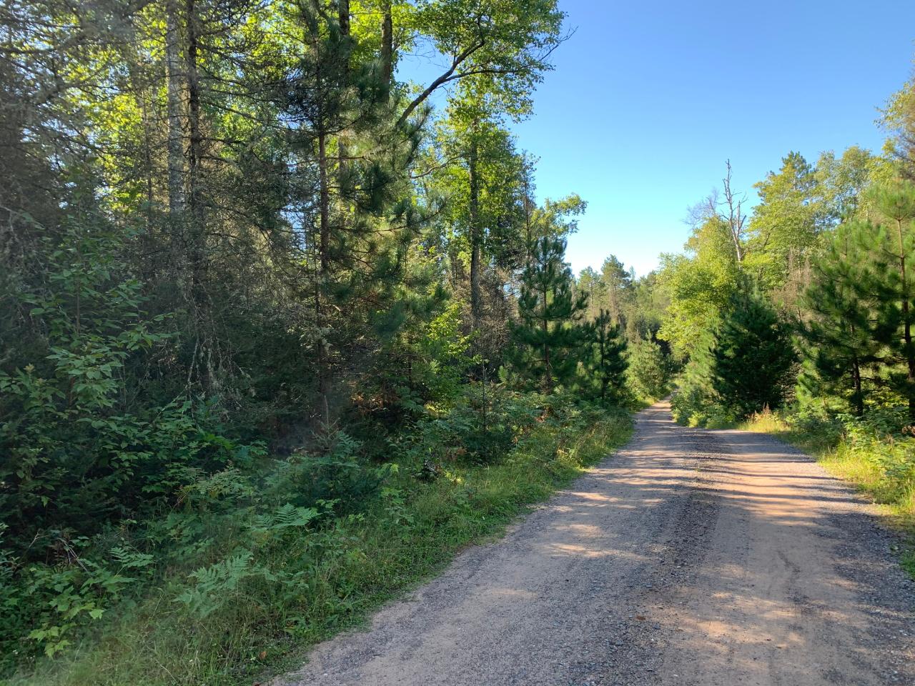 Landing Lake Property Off Of Knuth Ln Photo 25