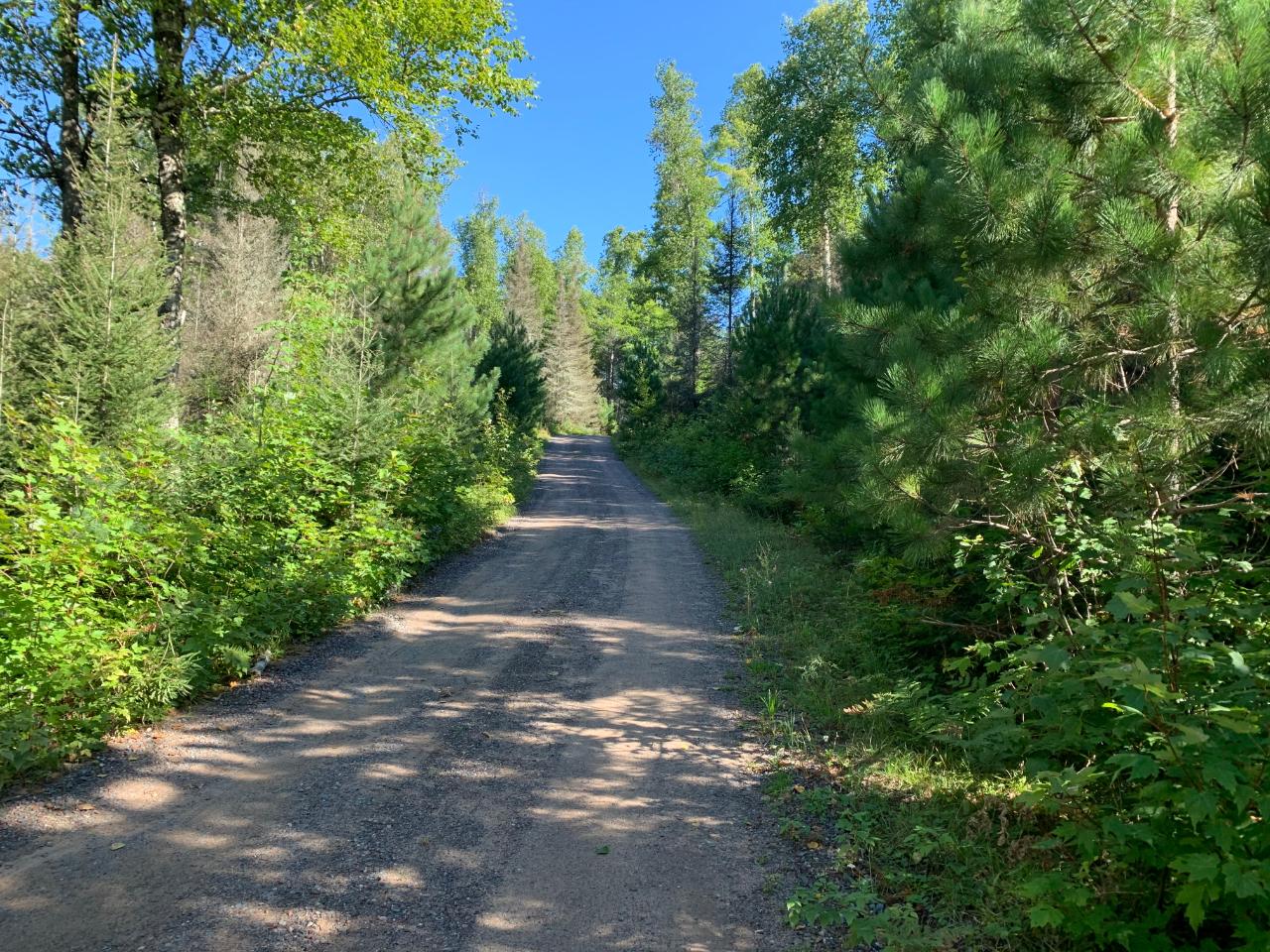 Landing Lake Property Off Of Knuth Ln Photo 27