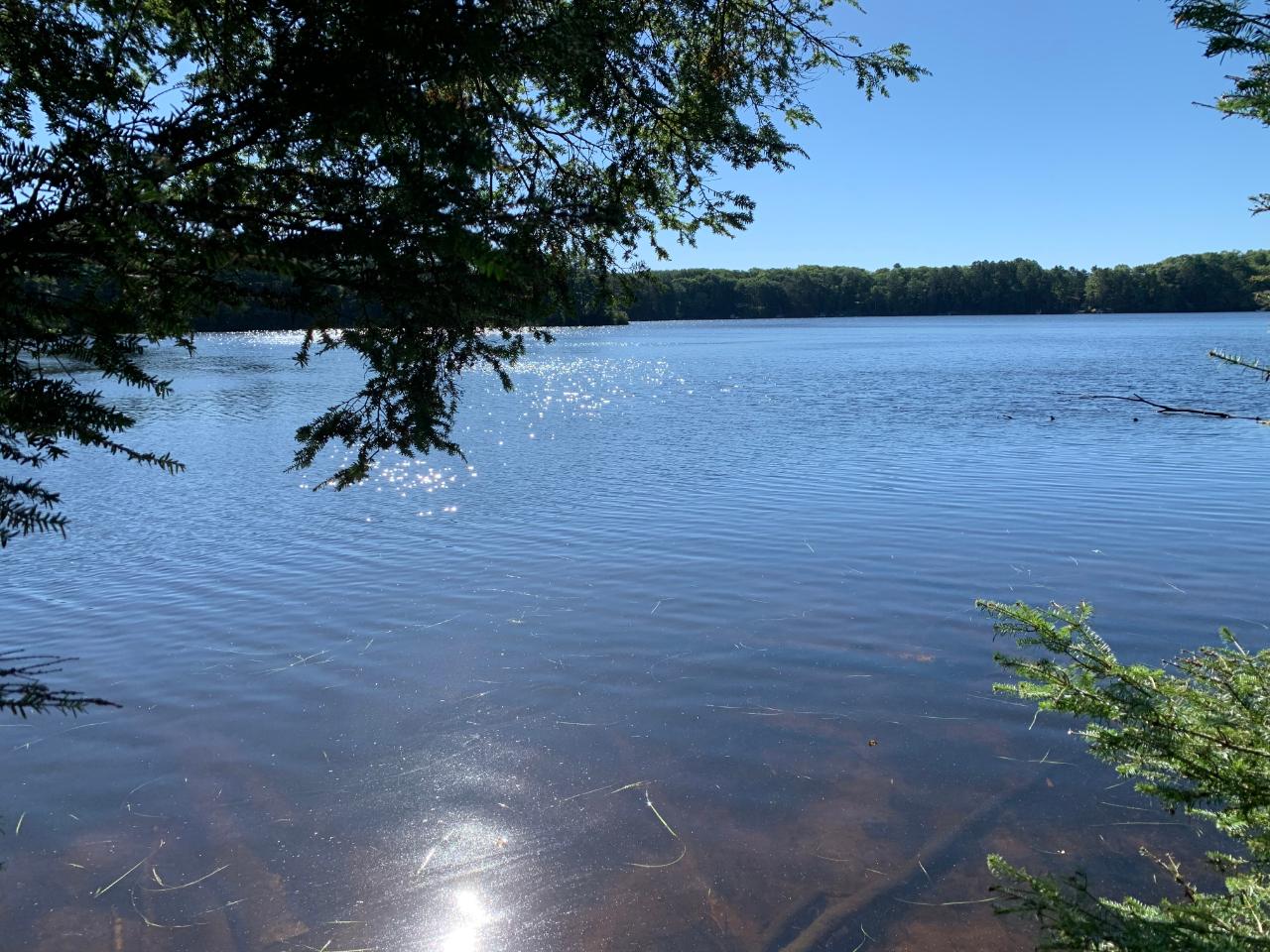 Landing Lake Property Off Of Knuth Ln Photo 3