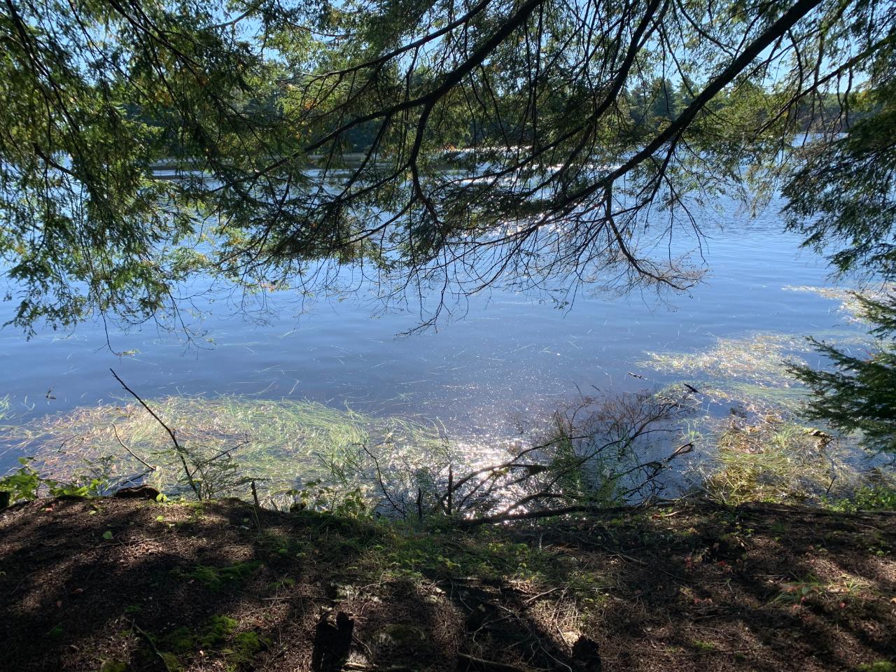 Landing Lake Property Off Of Knuth Ln Photo 4