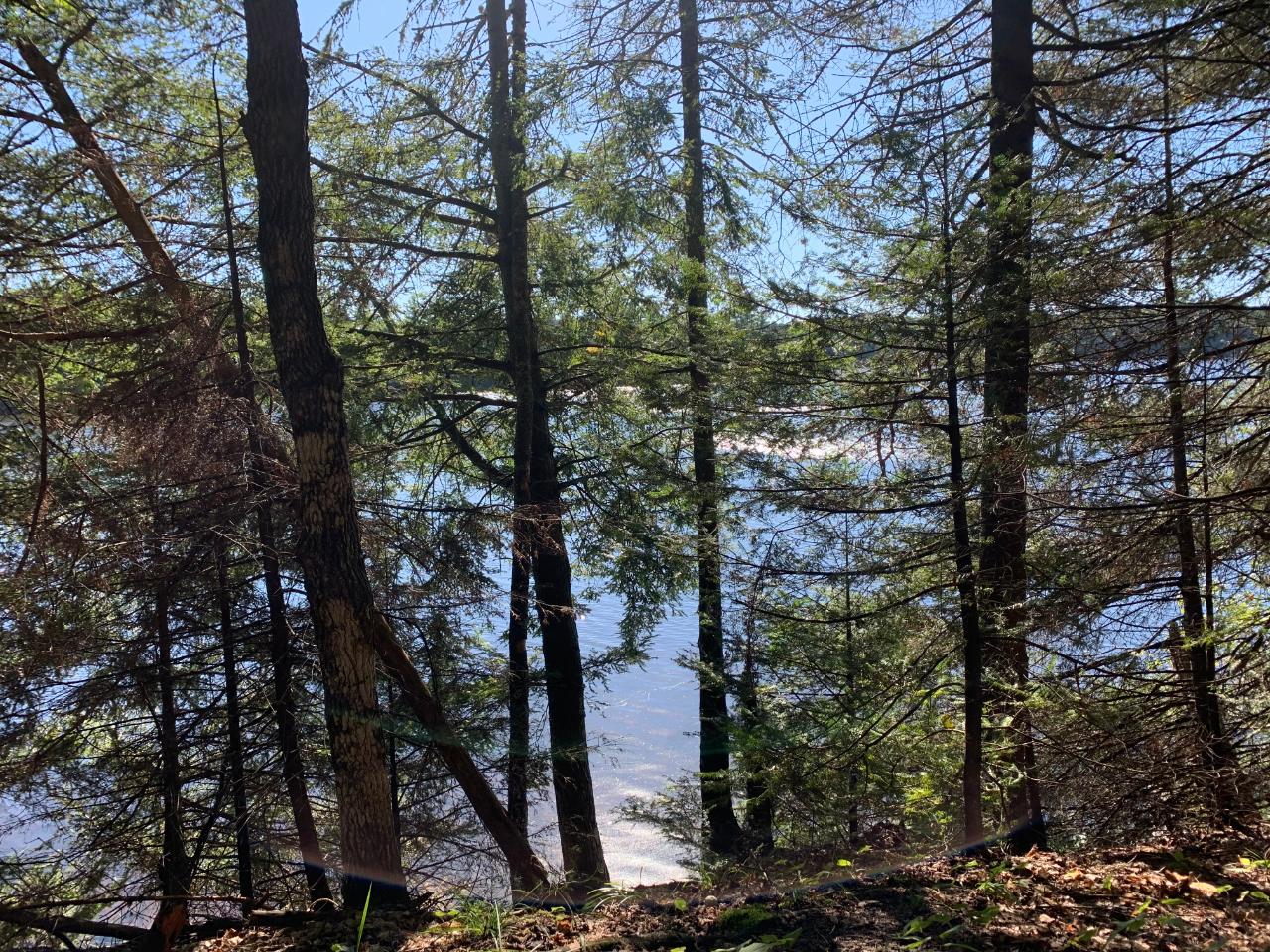 Landing Lake Property Off Of Knuth Ln Photo 5